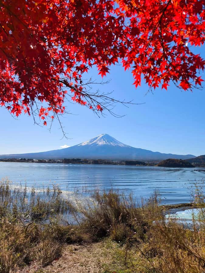 Tokyo: Private Mt.Fuji Day Trip with English-Speaking Driver - Mt. Fuji’s 5th Station at 2,300 meters