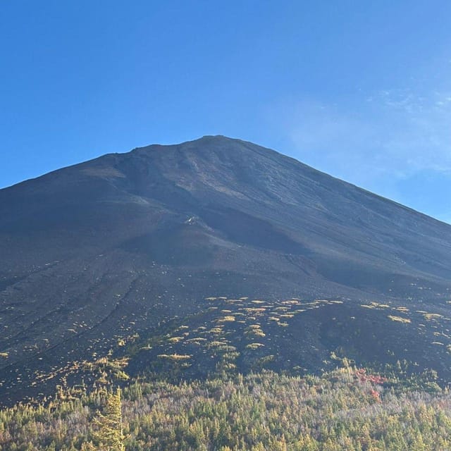 Tokyo: Private Mt. Fuji Luxury Day Tour – Fully Customizable - Gotemba Premium Outlets for a shopping finish