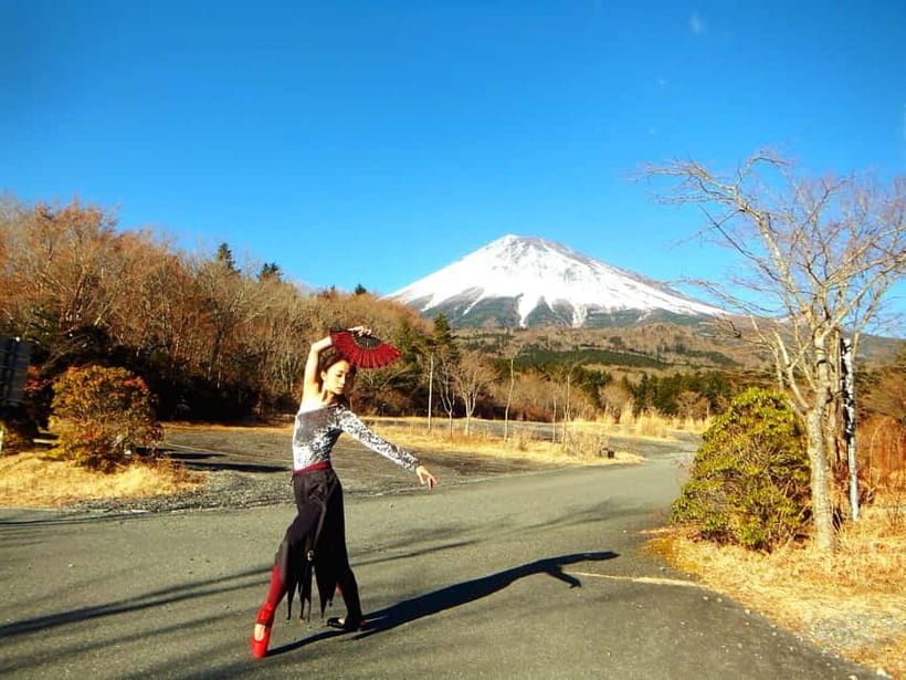 Tokyo: Private Mt. Fuji Luxury Day Tour – Fully Customizable - Mt. Fuji 5th Station for mountain air and close views