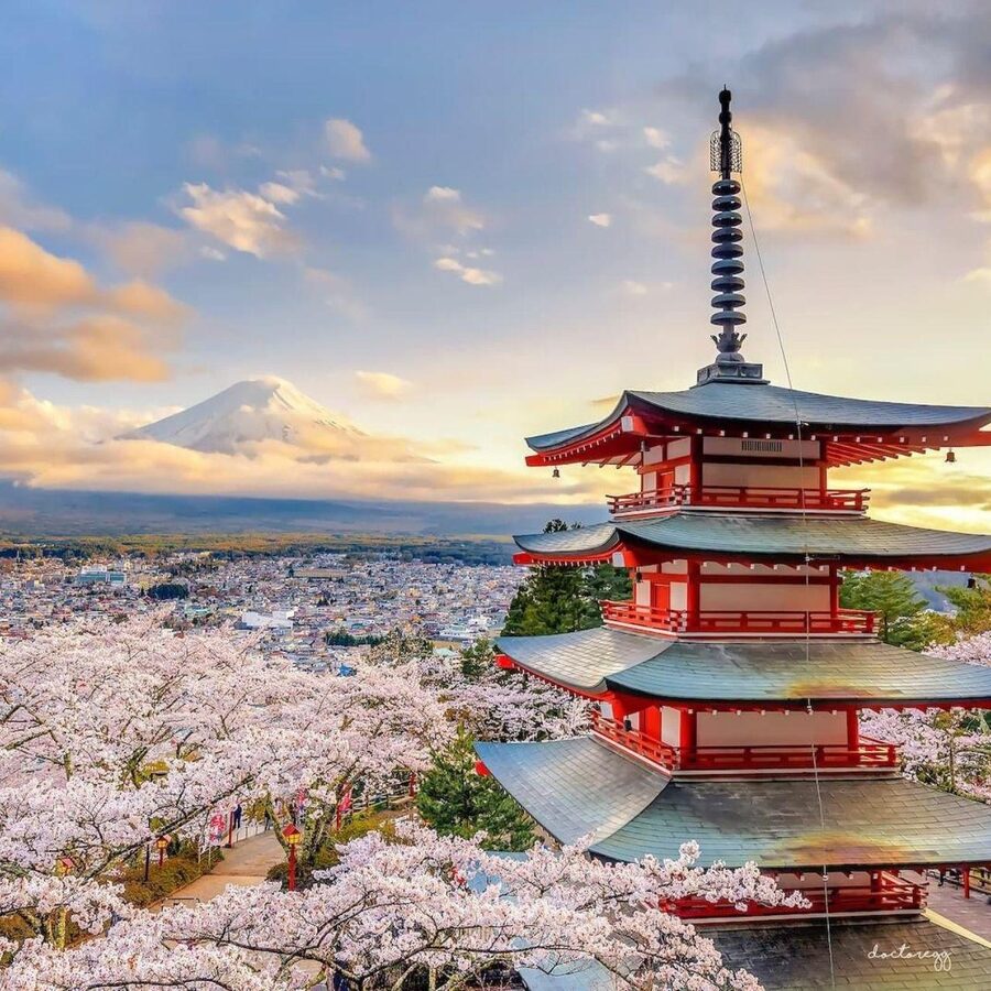 Tokyo: Private Mt. Fuji Luxury Day Tour – Fully Customizable - Adding Hakone, Lake Ashi, and the ropeway