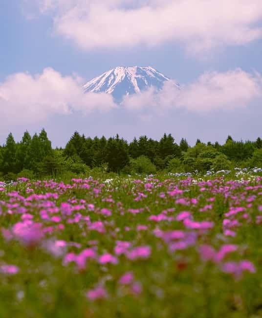 Tokyo: Private Mt. Fuji Luxury Day Tour – Fully Customizable - Starting from Tokyo and crossing toward Fuji