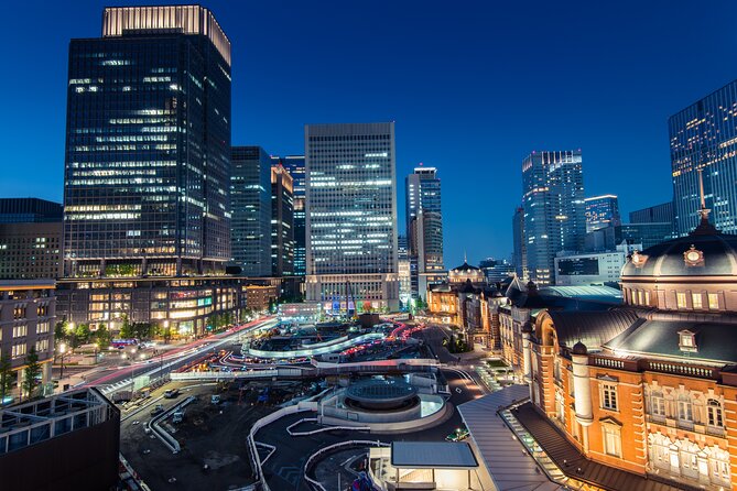 Tokyo Private Night Tour by Car/Van - English speaking chauffeur - Odaiba closes the route with bay views