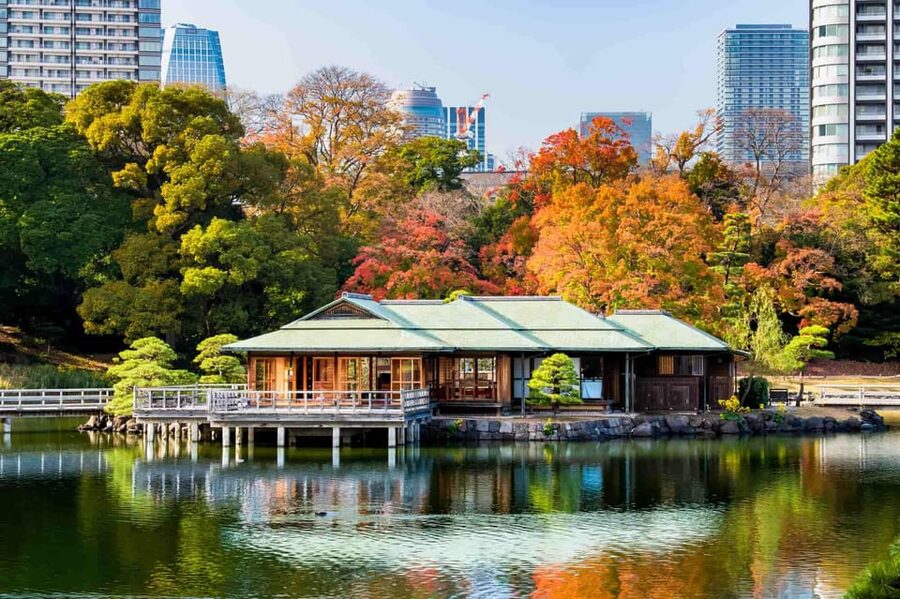Tokyo: Private Night Tour with English-Speaking Driver - Dinner in Nishiazabu, With Options Beyond Sushi