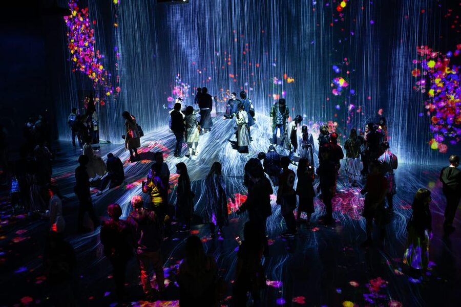 Tokyo: Private Night Tour with English-Speaking Driver - Omotesando, Shibuya Crossing, and Shinjuku