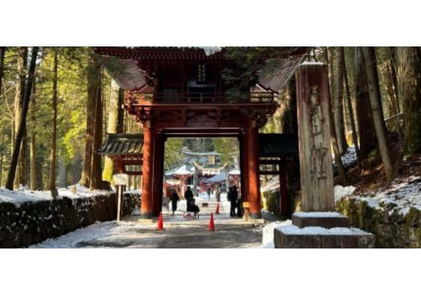 Tokyo: Private Nikko Sightseeing Tour In Luxury Land Cruiser - Why this Nikko day trip catches my eye