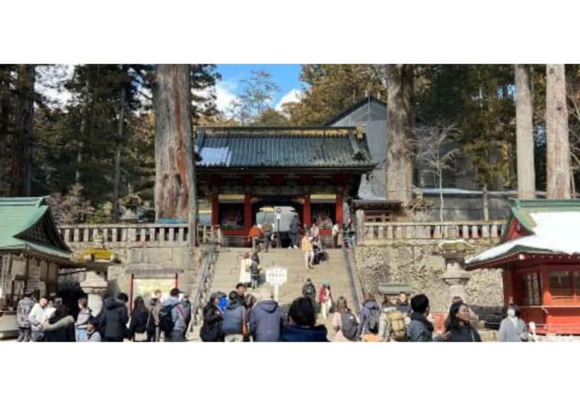 Tokyo: Private Nikko Sightseeing Tour In Luxury Land Cruiser - Lunch is simple and separate from the tour price