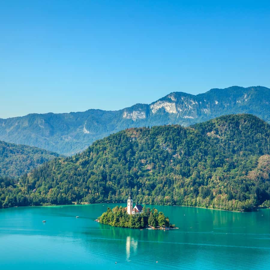 Tokyo: Private Nikko World Heritage Instagramable Day Tour - The quiet options if time remains