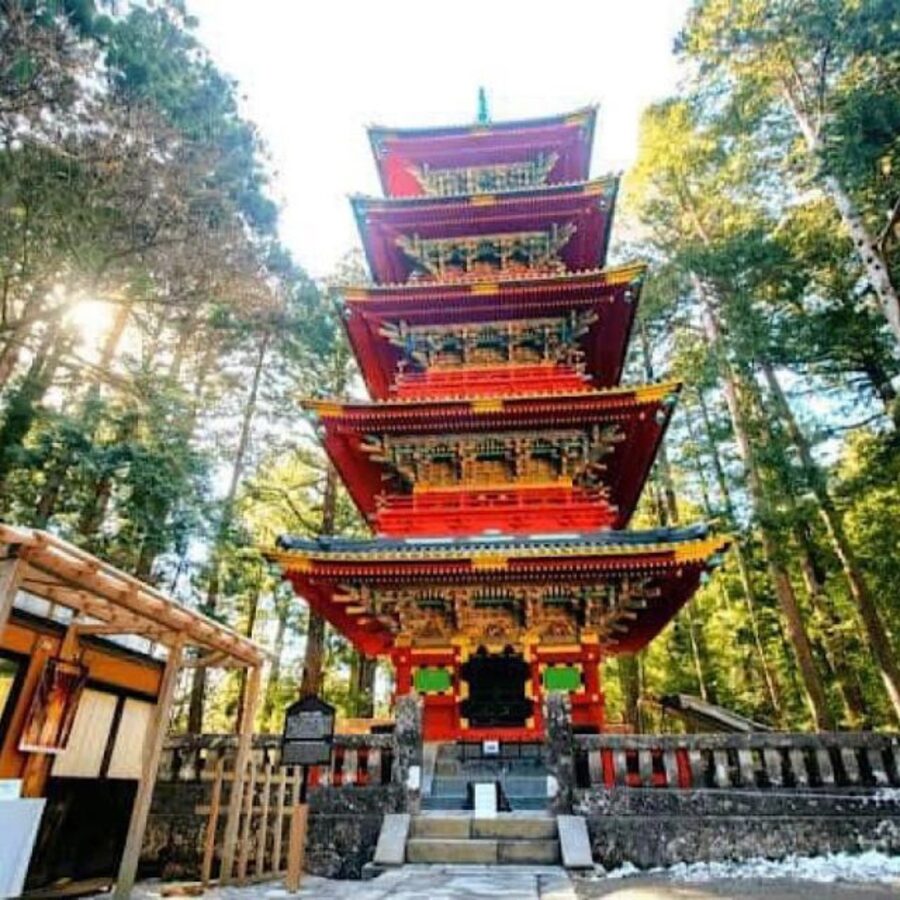 Tokyo: Private Nikko World Heritage Instagramable Day Tour - Rinnoji Temple and the lower shrine district