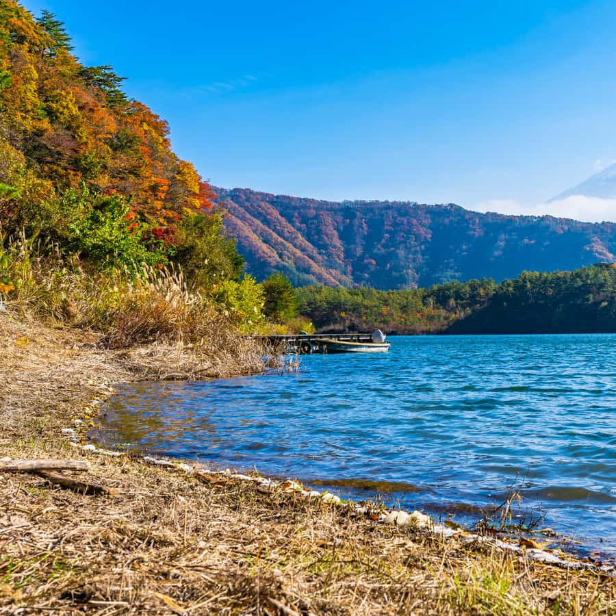 Tokyo: Private Nikko World Heritage Instagramable Day Tour - Lake Chuzenji, where Nikko opens up