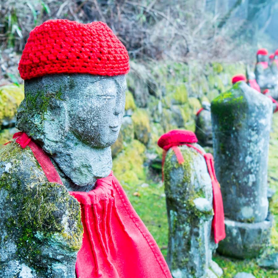 Tokyo: Private Nikko World Heritage Instagramable Day Tour - What the driver adds to the day