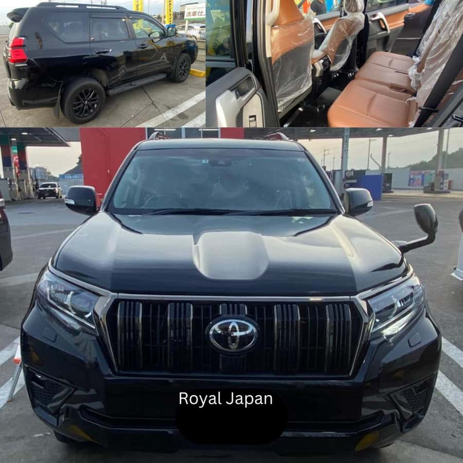 Tokyo: Private Nikko World Heritage Instagramable Day Tour - Leaving Tokyo in a private luxury vehicle