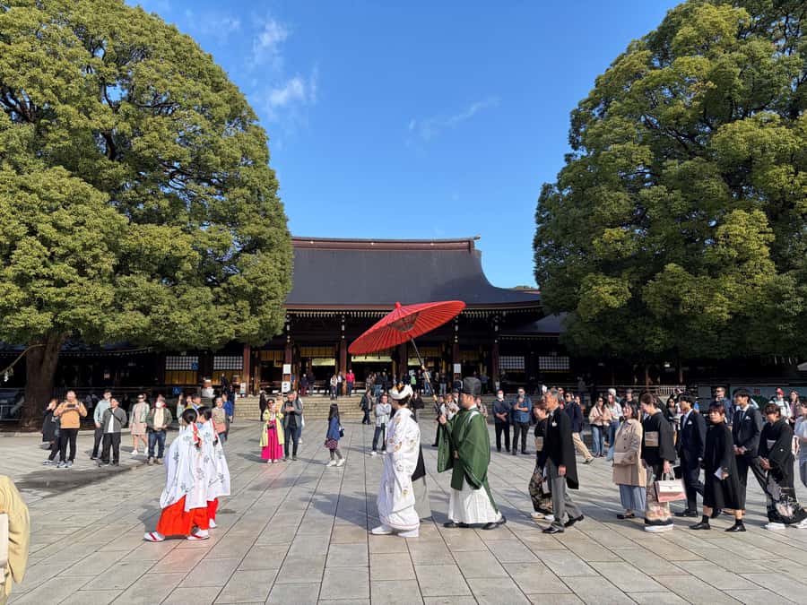 Tokyo: Private Shinto Shrines Tour by Car with Local Guide - Why a private car helps in central Tokyo