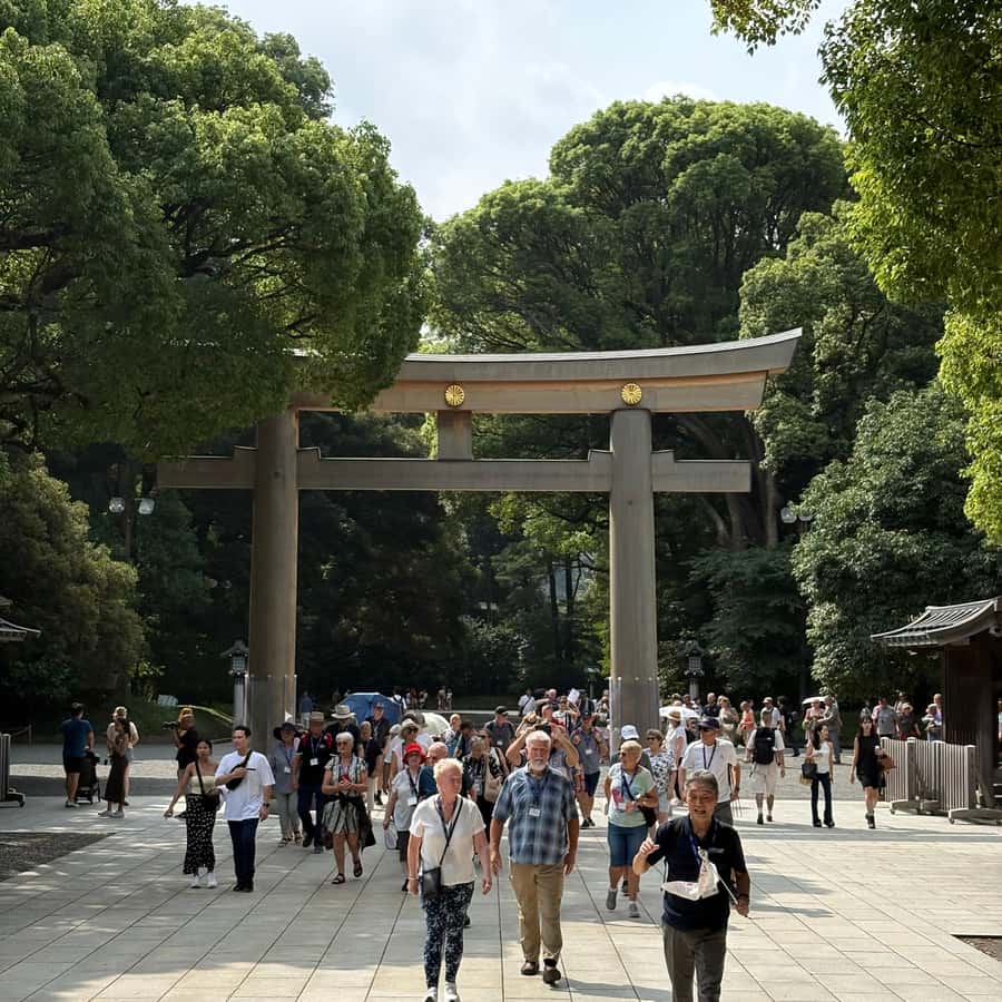 Tokyo: Private Shinto Shrines Tour by Car with Local Guide - Hie Shrine: red torii gates and good fortune