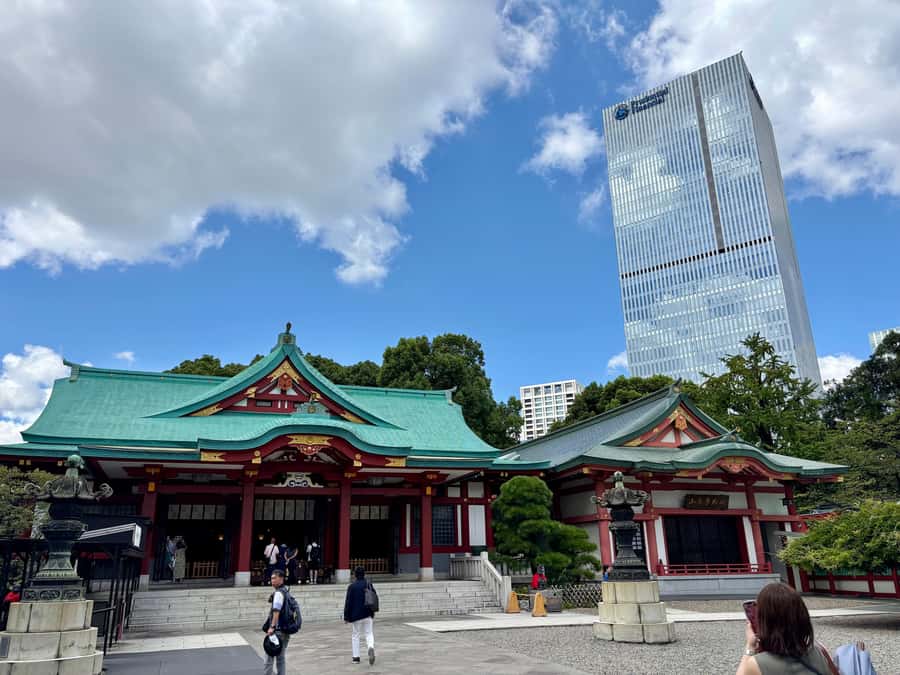 Tokyo: Private Shinto Shrines Tour by Car with Local Guide - Shrine etiquette without the guesswork
