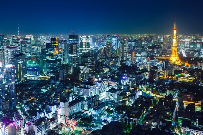Tokyo Private Sightseeing Tour by Car and English Speaking Driver - Key points to know before booking