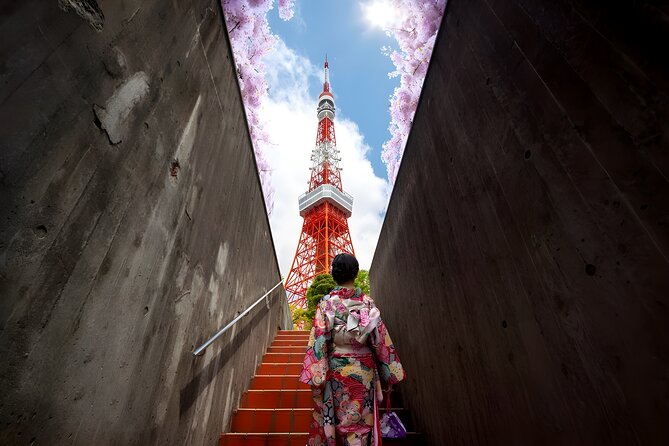 Tokyo Private Sightseeing Tour by Car and English Speaking Driver - A smart way to cover a very large city