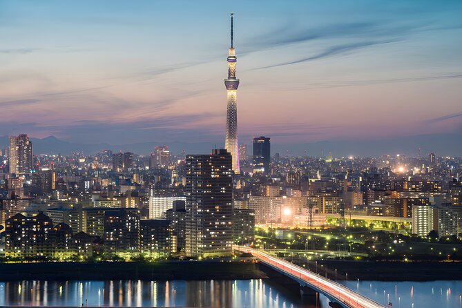 Tokyo Private Sightseeing Tour by Car and English Speaking Driver - Tokyo Tower brings a classic city view