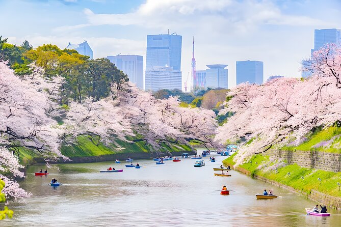 Tokyo Private Sightseeing Tour by Car and English Speaking Driver - Meiji Jingu is the day’s calmest walk