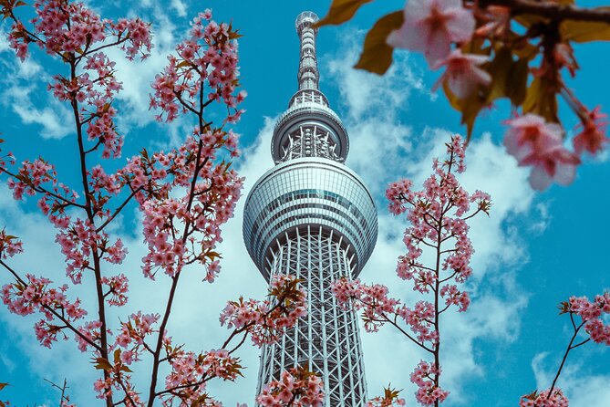 Tokyo Private Sightseeing Tour by Car- English speaking chauffeur - Tokyo Tower adds a different kind of skyline