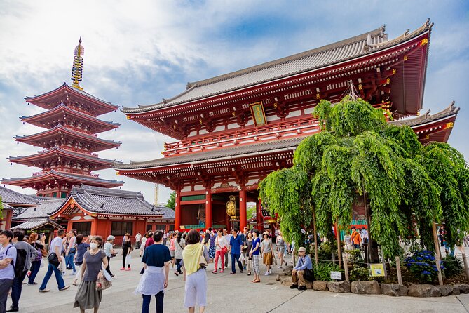 Tokyo Private Sightseeing Tour by Car - English speaking driver - Tokyo Tower: the classic skyline view