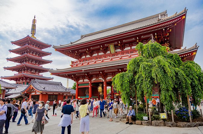 Tokyo Private Sightseeing Tour by Car - English speaking driver - Takeshita Street and Harajuku
