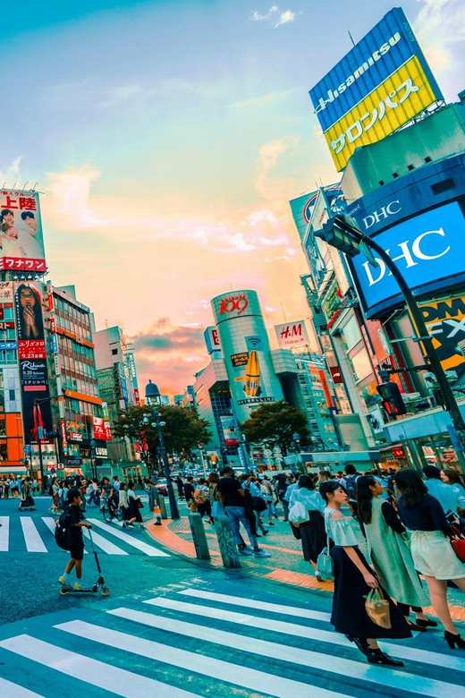 Tokyo: Private Tailored Tour with a Local Guide - Starting at Meiji Shrine and Harajuku