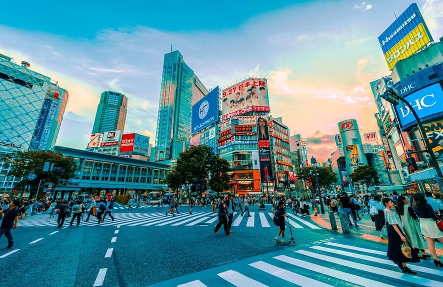 Tokyo: Private Tailored Tour with a Local Guide - Shinjuku views and Omoide Yokocho