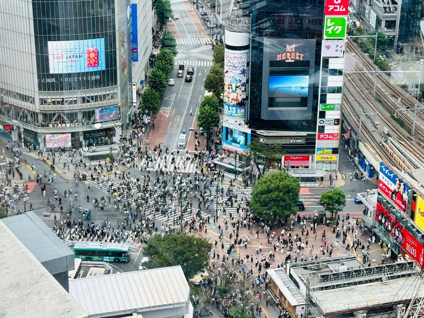 Tokyo: Private Tailored Tour with a Local Guide - Walking, transport, and practical comfort