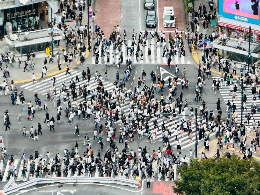 Tokyo: Private Tailored Tour with a Local Guide - Who will get the most from this tour
