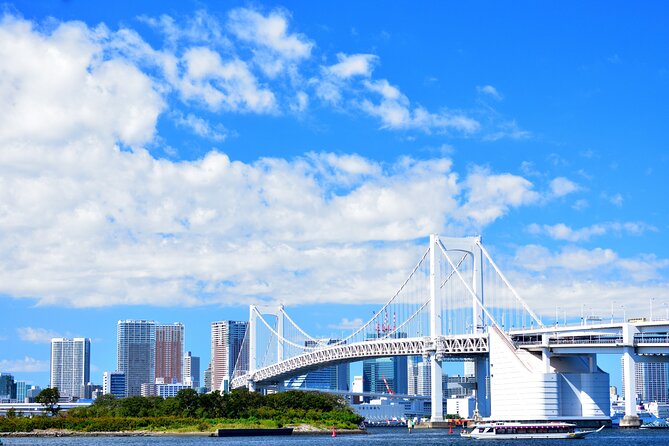 Tokyo Private Tour - Akihabara for electronics, anime, and games