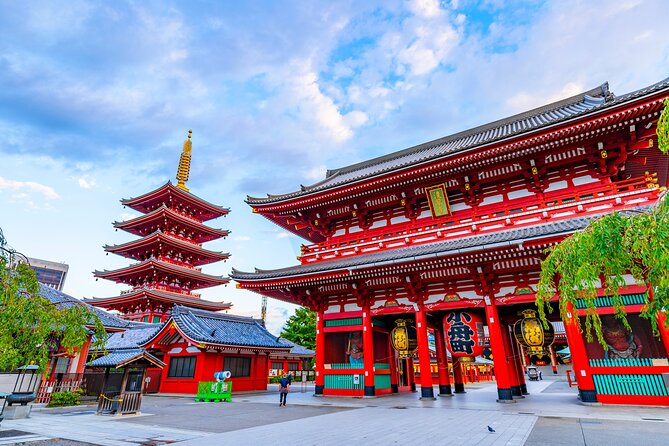 Tokyo Private Tour - Omotesando, Harajuku, and Meiji Jingu