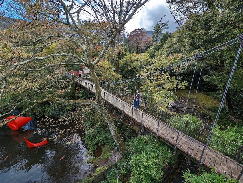 Tokyo private tour by car with pick up - Key points to know before booking