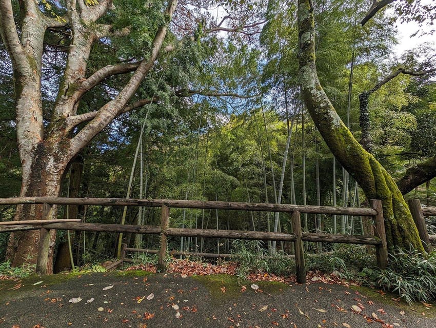 Tokyo private tour by car with pick up - Who should book this Tokyo car tour?