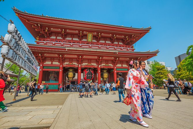 Tokyo Private Tour by Vehicle with English-Speaking Chauffeur - Why a private car helps in Tokyo