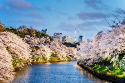 Tokyo Private Tour by Vehicle with English-Speaking Chauffeur - Sensoji Temple and old Asakusa