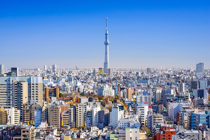 Tokyo Private Tour by Vehicle with English-Speaking Chauffeur - Imperial Palace East Gardens