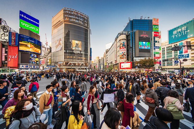 Tokyo Private Tour by Vehicle with English-Speaking Chauffeur - Meiji Jingu and a forested pause