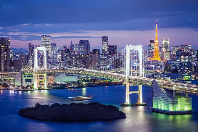 Tokyo Private Tour by Vehicle with English-Speaking Chauffeur - What the chauffeur actually adds