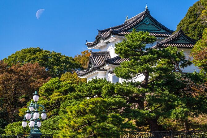 Tokyo Private Tour! Edo Castle & Imperial Palace East Gardens - What you actually see in two hours
