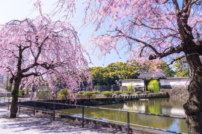 Tokyo Private Tour! Edo Castle & Imperial Palace East Gardens - A private guide changes the experience