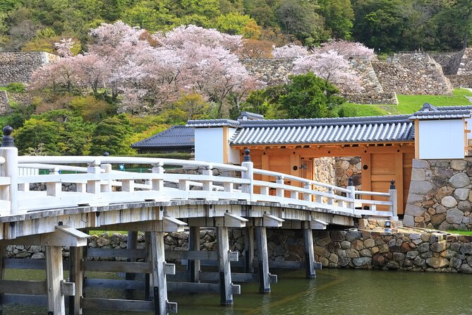 Tokyo Private Tour! Edo Castle & Imperial Palace East Gardens - Heat, sun, and walking conditions