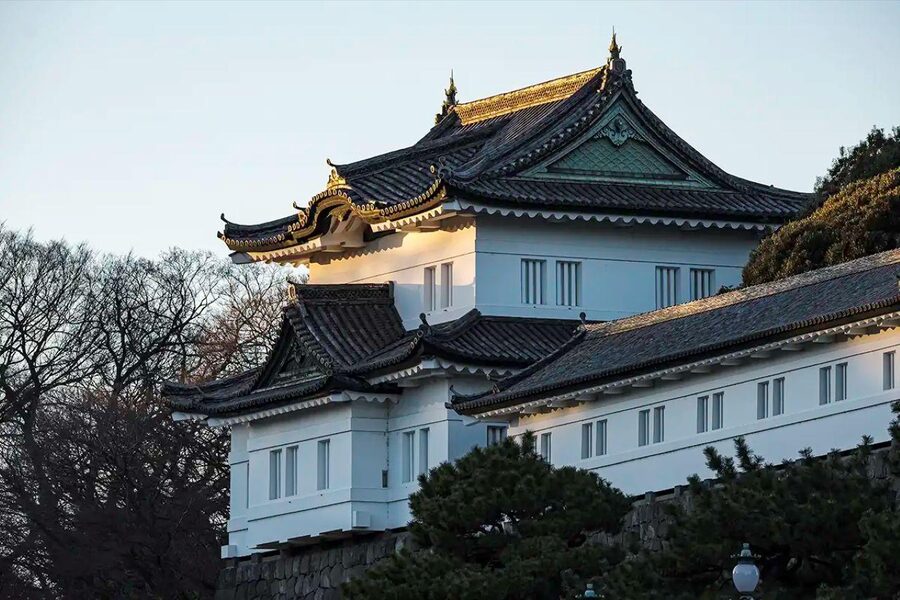 Tokyo Private Tour English Pro Guide By Luxury Vehicle - The Guide, Vehicle, and Pace of the Day