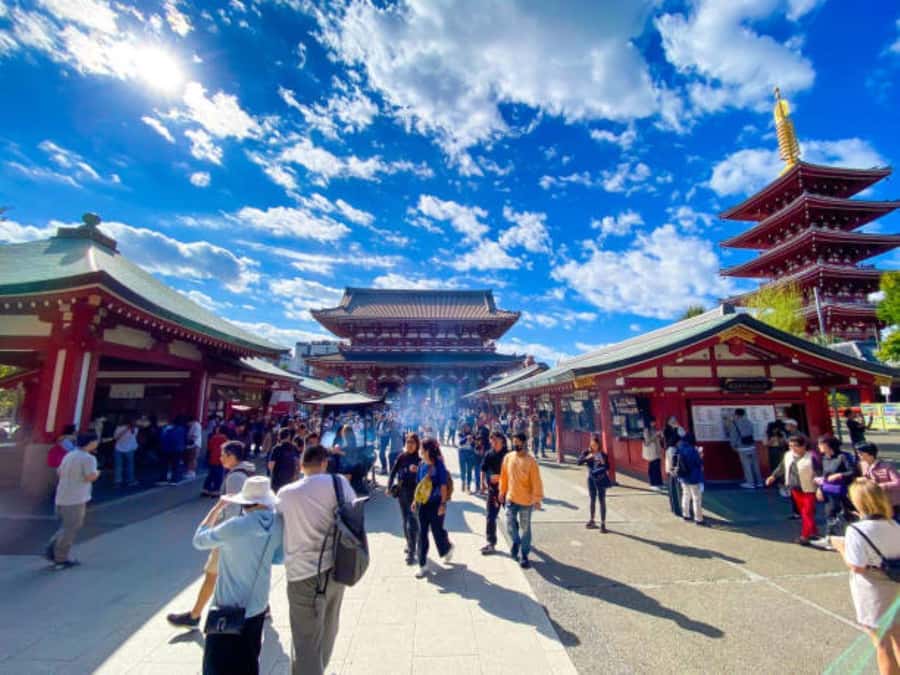 Tokyo Private Tour English Pro Guide By Luxury Vehicle - Meiji Shrine Among Tokyo’s Trees