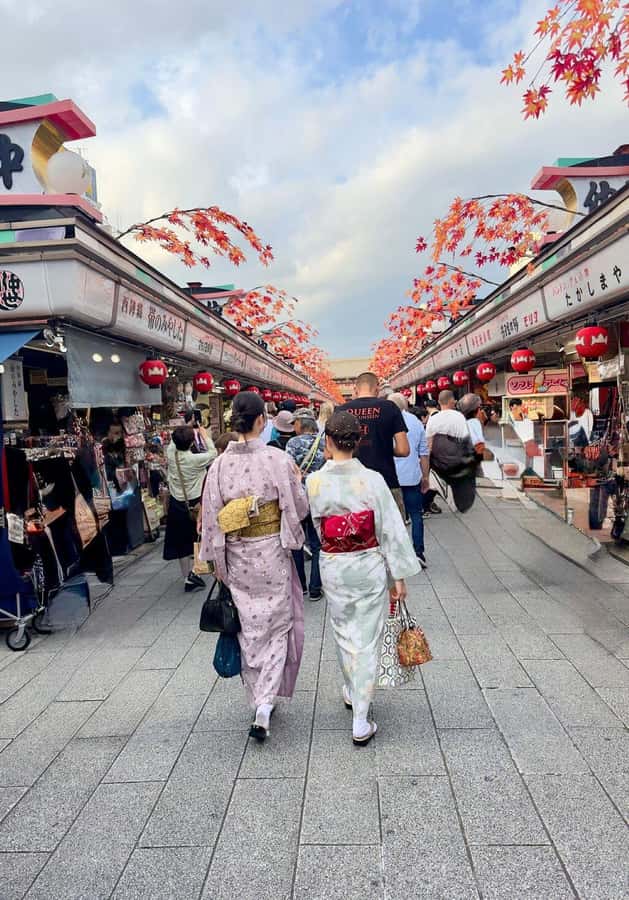 Tokyo Private Tour English Pro Guide By Luxury Vehicle - Shibuya Crossing and Modern Tokyo