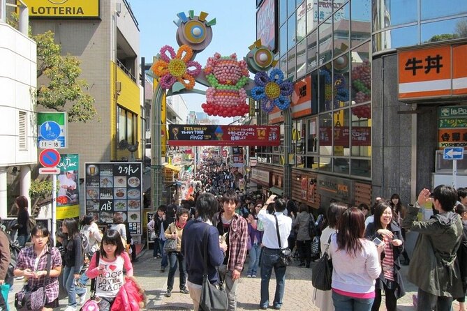 Tokyo Private Tour in Luxury Vehicle with English Guide - Tokyo Skytree and Tokyo Tower: choose your view