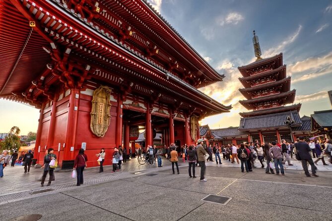 Tokyo Private Tour in Luxury Vehicle with English Guide - Shinjuku Gyoen: lawns, gardens, and a slower pause