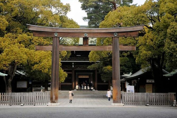 Tokyo Private Tour in Luxury Vehicle with English Guide - Takeshita Street: a short, energetic shopping stop