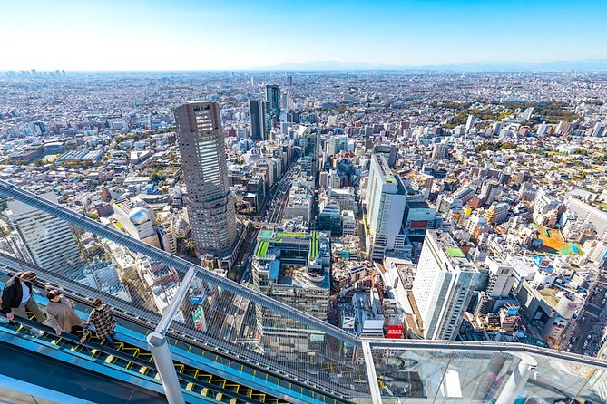 Tokyo Private Tour: One Day Highlights and Optional Shibuya Sky - Key points to know before booking