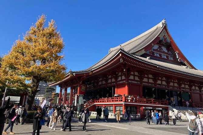 Tokyo Private Tour: One Day Highlights and Optional Shibuya Sky - Using Tokyo’s public transportation with a guide