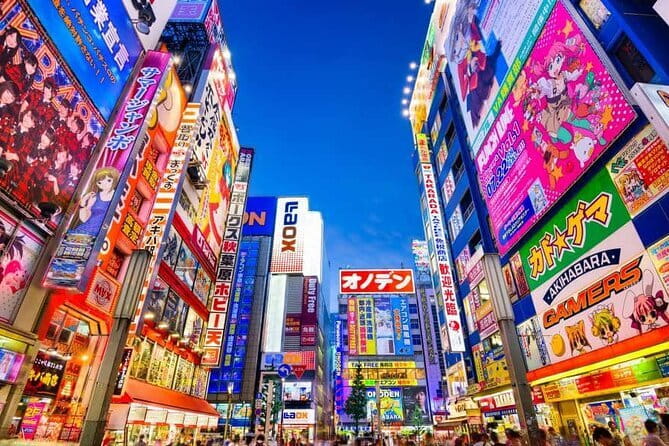 Tokyo Private Tour With English Speaking Driver - Tsukiji Outer Market is for food, browsing, and a flexible lunch